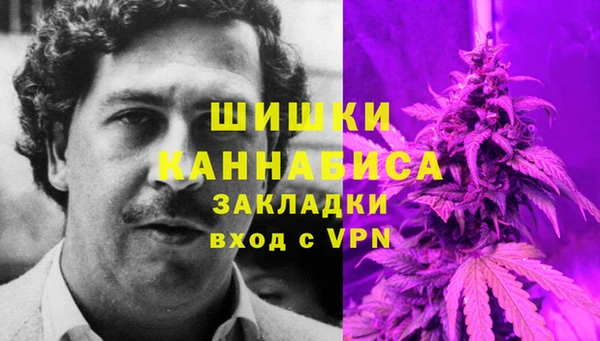 прущая мука Инта