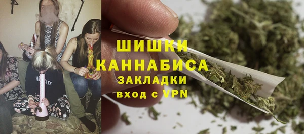 прущая мука Инта