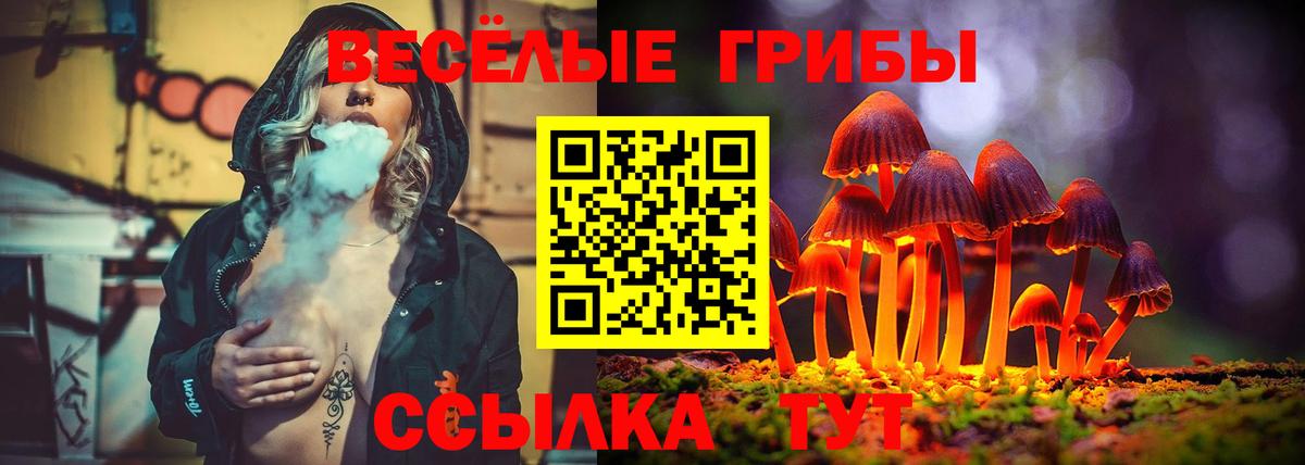 цена   Вход с VPN  Калуга  Псилоцибиновые грибы MAGIC MUSHROOMS  Псилоцибиновые грибы мухоморы 